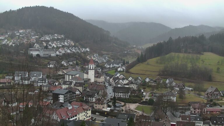 Dieses Bild zeigt eine Webcam-Aufnahme von Ottenhöfen, aufgenommen am Donnerstag, den 12.02.2026 um 11:30 Uhr