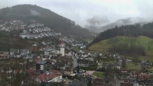 Dieses Bild zeigt eine Webcam-Aufnahme von Ottenhöfen, aufgenommen am Dienstag, den 24.02.2026 um 13:50 Uhr