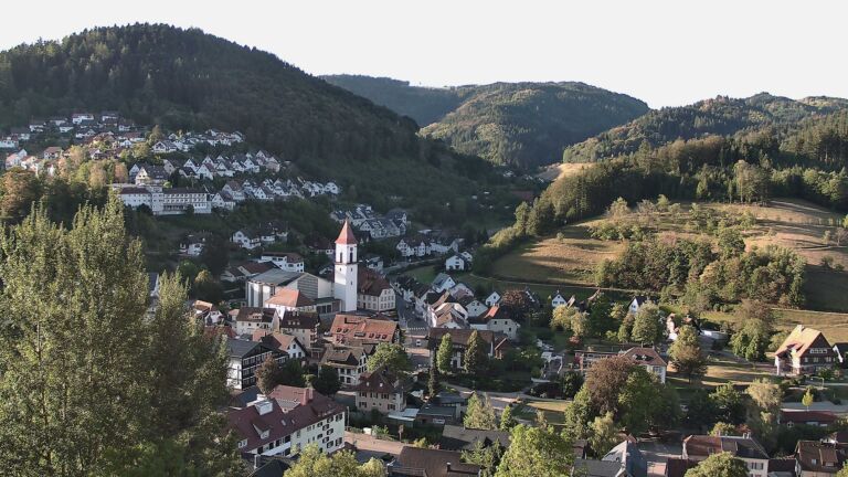 Dieses Bild zeigt eine Webcam-Aufnahme von Ottenhöfen, aufgenommen am Samstag, den 29.08.2026 um 08:00 Uhr