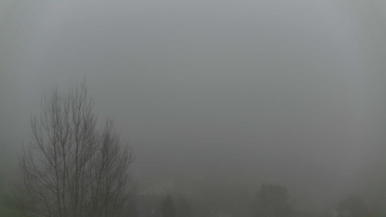 Dieses Bild zeigt eine Webcam-Aufnahme von Ottenhöfen, aufgenommen am Samstag, den 13.12.2025 um 15:50 Uhr