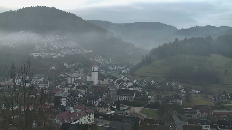 Dieses Bild zeigt eine Webcam-Aufnahme von Ottenhöfen, aufgenommen am Sonntag, den 01.02.2026 um 08:50 Uhr