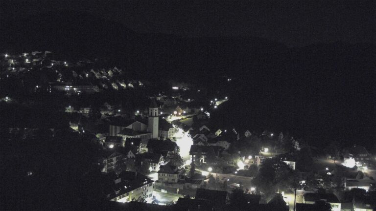 Dieses Bild zeigt eine Webcam-Aufnahme von Ottenhöfen, aufgenommen am Sonntag, den 12.07.2026 um 02:30 Uhr