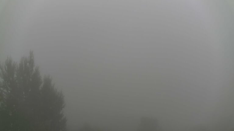Dieses Bild zeigt eine Webcam-Aufnahme von Ottenhöfen, aufgenommen am Montag, den 19.10.2026 um 08:30 Uhr
