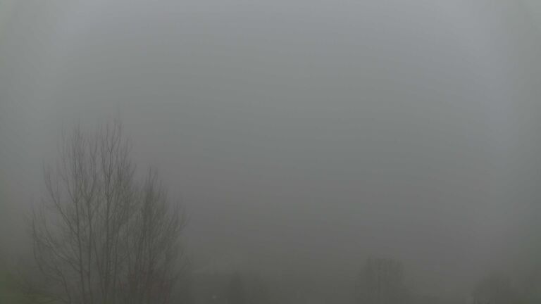 Dieses Bild zeigt eine Webcam-Aufnahme von Ottenhöfen, aufgenommen am Samstag, den 13.12.2025 um 16:00 Uhr