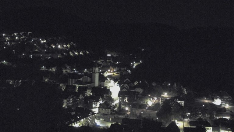 Dieses Bild zeigt eine Webcam-Aufnahme von Ottenhöfen, aufgenommen am Mittwoch, den 12.08.2026 um 02:30 Uhr