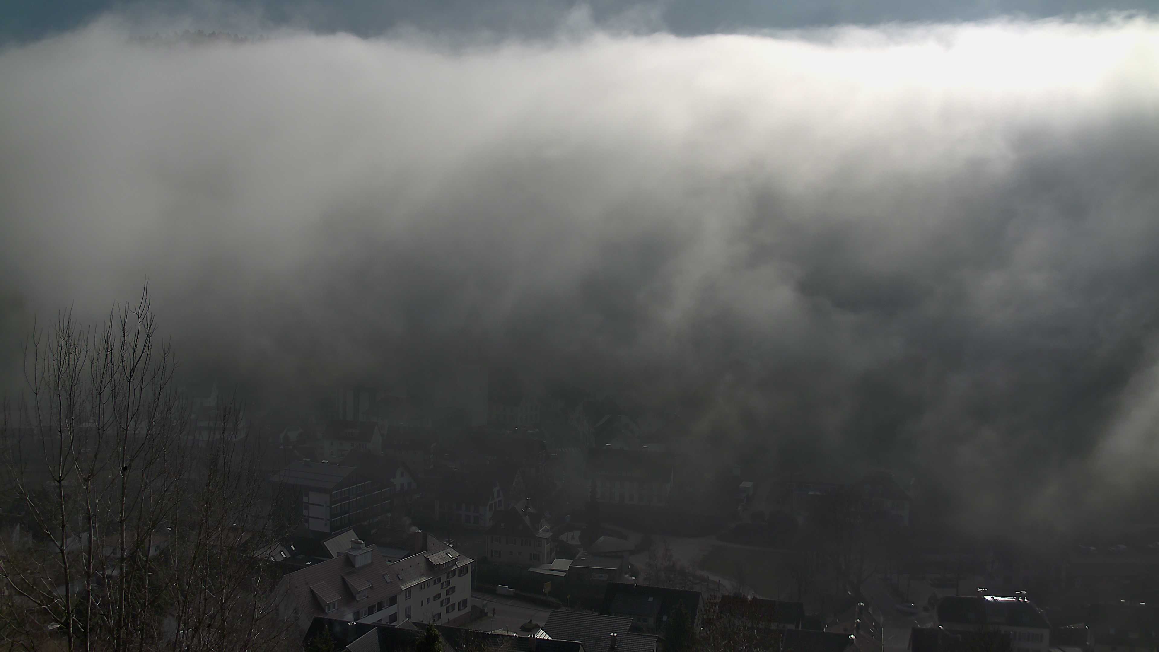 Zum Fotoarchiv vom Sonntag, 8. Februar 2026