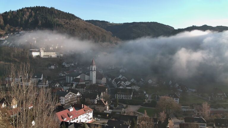 Dieses Bild zeigt eine Webcam-Aufnahme von Ottenhöfen, aufgenommen am Mittwoch, den 25.02.2026 um 16:50 Uhr