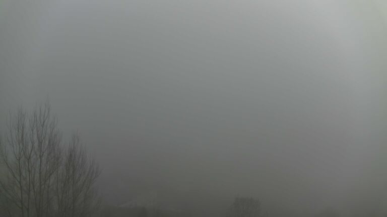 Dieses Bild zeigt eine Webcam-Aufnahme von Ottenhöfen, aufgenommen am Sonntag, den 21.12.2025 um 14:20 Uhr