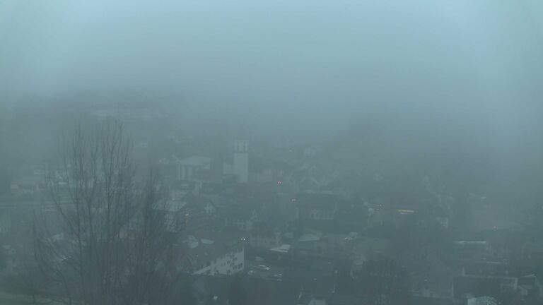 Dieses Bild zeigt eine Webcam-Aufnahme von Ottenhöfen, aufgenommen am Dienstag, den 16.12.2025 um 08:10 Uhr