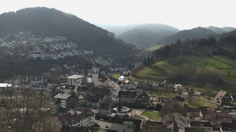 Dieses Bild zeigt eine Webcam-Aufnahme von Ottenhöfen, aufgenommen am Sonntag, den 08.03.2026 um 09:50 Uhr