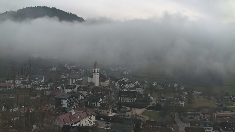 Dieses Bild zeigt eine Webcam-Aufnahme von Ottenhöfen, aufgenommen am Mittwoch, den 04.02.2026 um 14:20 Uhr