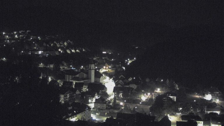 Dieses Bild zeigt eine Webcam-Aufnahme von Ottenhöfen, aufgenommen am Montag, den 17.08.2026 um 02:30 Uhr