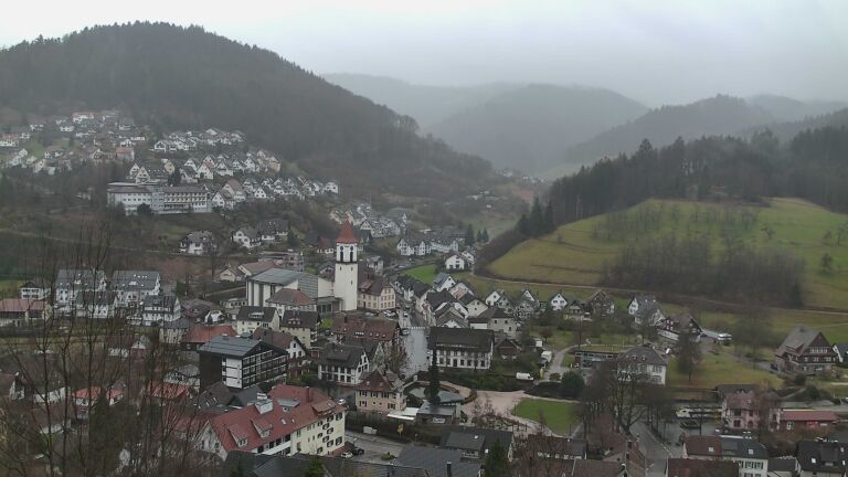 Dieses Bild zeigt eine Webcam-Aufnahme von Ottenhöfen, aufgenommen am Samstag, den 21.02.2026 um 10:00 Uhr