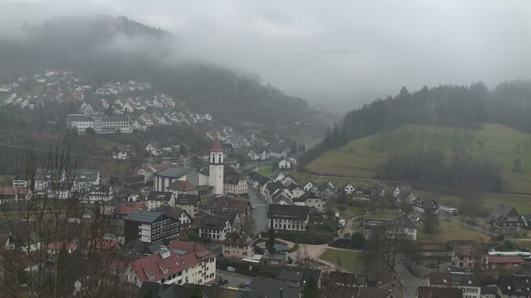 Dieses Bild zeigt eine Webcam-Aufnahme von Ottenhöfen, aufgenommen am Dienstag, den 03.02.2026 um 10:50 Uhr