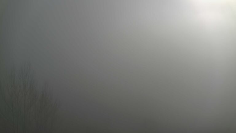 Dieses Bild zeigt eine Webcam-Aufnahme von Ottenhöfen, aufgenommen am Sonntag, den 28.12.2025 um 12:50 Uhr