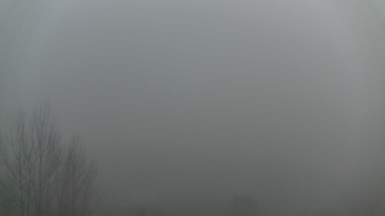 Dieses Bild zeigt eine Webcam-Aufnahme von Ottenhöfen, aufgenommen am Sonntag, den 21.12.2025 um 16:30 Uhr