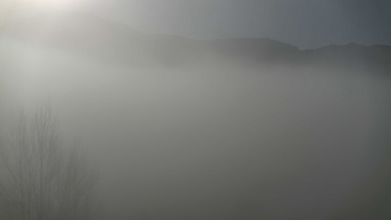 Dieses Bild zeigt eine Webcam-Aufnahme von Ottenhöfen, aufgenommen am Sonntag, den 08.02.2026 um 10:10 Uhr