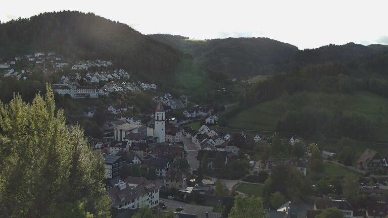 Dieses Bild zeigt eine Webcam-Aufnahme von Ottenhöfen, aufgenommen am Montag, den 12.10.2026 um 11:50 Uhr