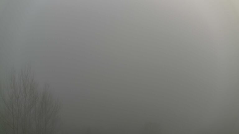 Dieses Bild zeigt eine Webcam-Aufnahme von Ottenhöfen, aufgenommen am Sonntag, den 21.12.2025 um 15:20 Uhr