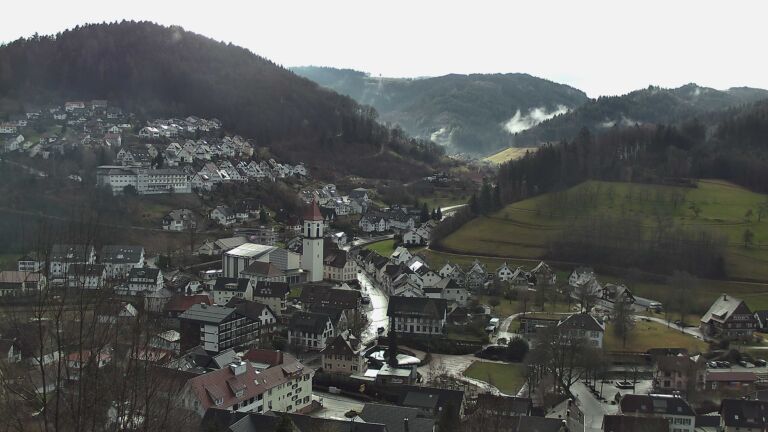 Dieses Bild zeigt eine Webcam-Aufnahme von Ottenhöfen, aufgenommen am Montag, den 02.02.2026 um 09:50 Uhr