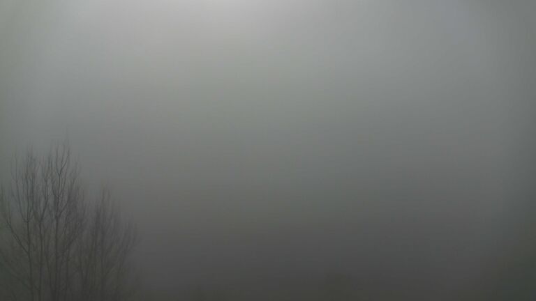 Dieses Bild zeigt eine Webcam-Aufnahme von Ottenhöfen, aufgenommen am Sonntag, den 08.02.2026 um 11:10 Uhr