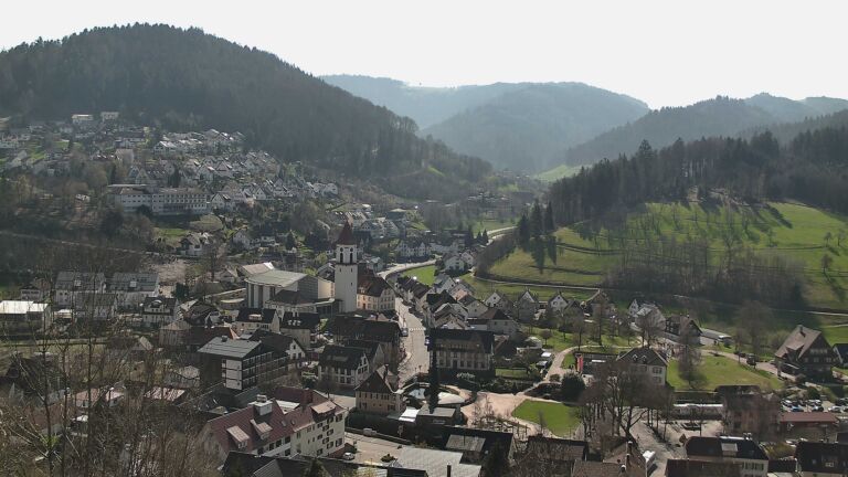 Dieses Bild zeigt eine Webcam-Aufnahme von Ottenhöfen, aufgenommen am Freitag, den 20.03.2026 um 11:50 Uhr