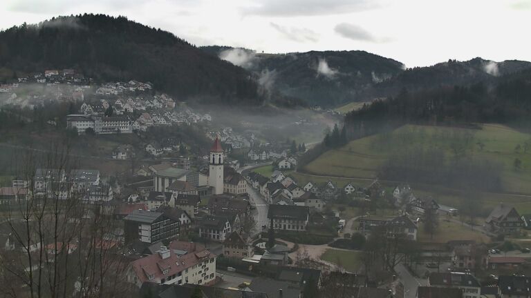 Dieses Bild zeigt eine Webcam-Aufnahme von Ottenhöfen, aufgenommen am Montag, den 02.02.2026 um 11:20 Uhr