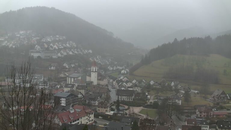 Dieses Bild zeigt eine Webcam-Aufnahme von Ottenhöfen, aufgenommen am Mittwoch, den 11.02.2026 um 09:50 Uhr