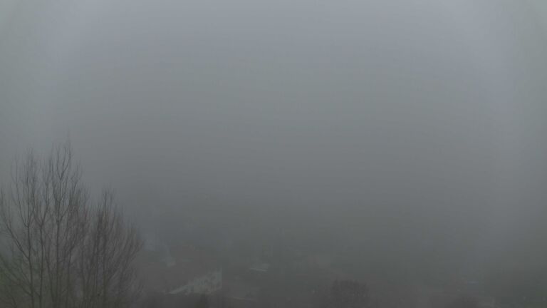 Dieses Bild zeigt eine Webcam-Aufnahme von Ottenhöfen, aufgenommen am Sonntag, den 08.02.2026 um 17:20 Uhr