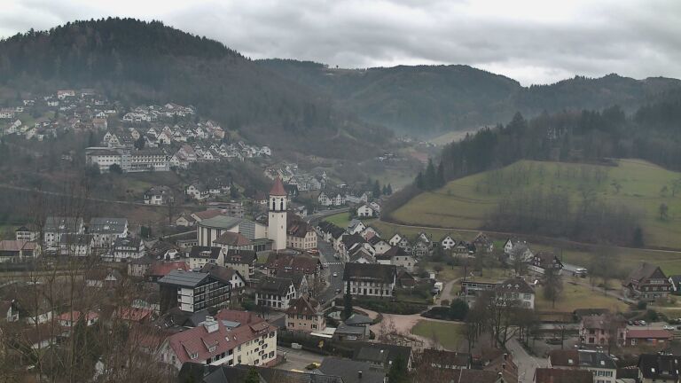 Dieses Bild zeigt eine Webcam-Aufnahme von Ottenhöfen, aufgenommen am Sonntag, den 01.02.2026 um 12:20 Uhr