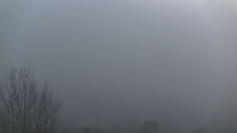 Dieses Bild zeigt eine Webcam-Aufnahme von Ottenhöfen, aufgenommen am Sonntag, den 21.12.2025 um 16:50 Uhr