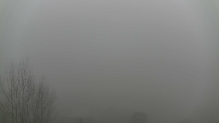 Dieses Bild zeigt eine Webcam-Aufnahme von Ottenhöfen, aufgenommen am Mittwoch, den 28.01.2026 um 09:50 Uhr