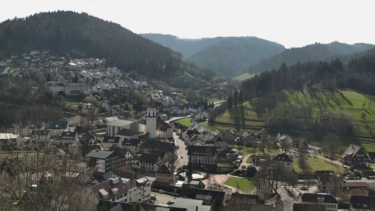 Dieses Bild zeigt eine Webcam-Aufnahme von Ottenhöfen, aufgenommen am Dienstag, den 03.03.2026 um 11:50 Uhr