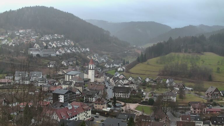 Dieses Bild zeigt eine Webcam-Aufnahme von Ottenhöfen, aufgenommen am Donnerstag, den 19.02.2026 um 16:50 Uhr