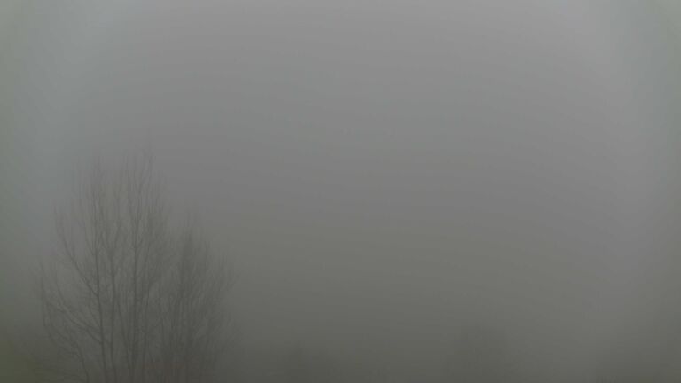 Dieses Bild zeigt eine Webcam-Aufnahme von Ottenhöfen, aufgenommen am Samstag, den 13.12.2025 um 14:20 Uhr