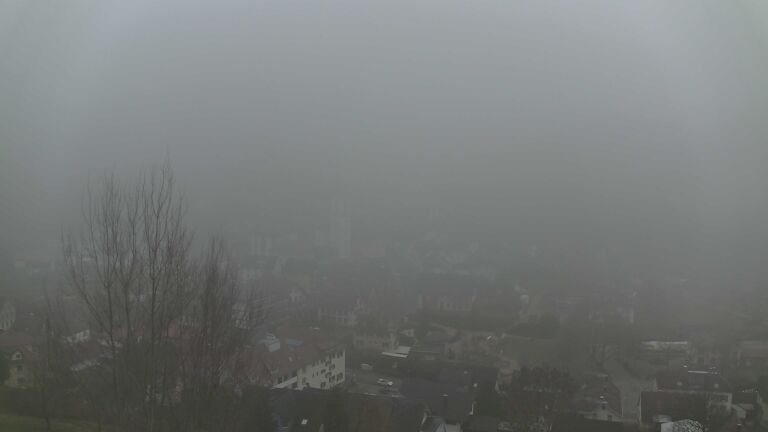 Dieses Bild zeigt eine Webcam-Aufnahme von Ottenhöfen, aufgenommen am Dienstag, den 16.12.2025 um 16:00 Uhr