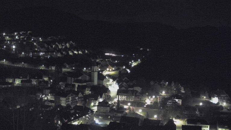 Dieses Bild zeigt eine Webcam-Aufnahme von Ottenhöfen, aufgenommen am Freitag, den 17.04.2026 um 03:00 Uhr