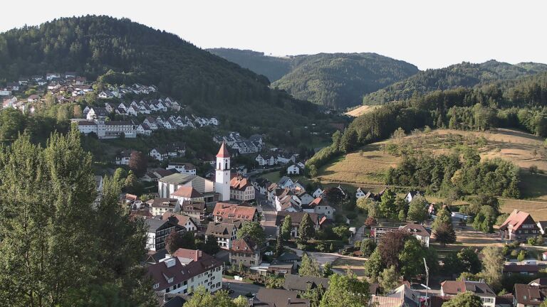 Dieses Bild zeigt eine Webcam-Aufnahme von Ottenhöfen, aufgenommen am Mittwoch, den 29.07.2026 um 07:30 Uhr