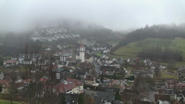 Dieses Bild zeigt eine Webcam-Aufnahme von Ottenhöfen, aufgenommen am Sonntag, den 14.12.2025 um 09:50 Uhr