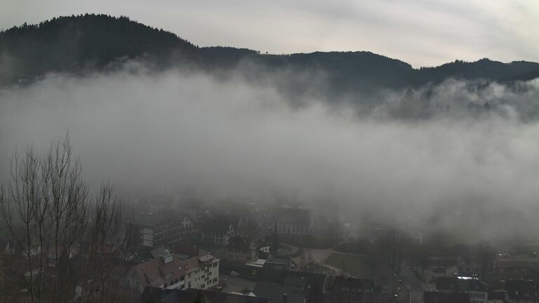 Dieses Bild zeigt eine Webcam-Aufnahme von Ottenhöfen, aufgenommen am Mittwoch, den 04.02.2026 um 12:50 Uhr