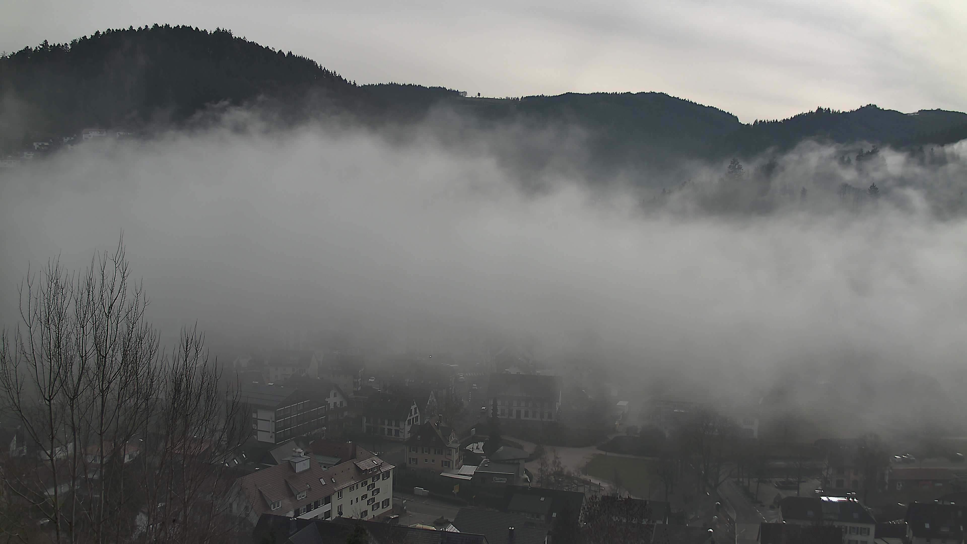 Zum Fotoarchiv vom Mittwoch, 4. Februar 2026