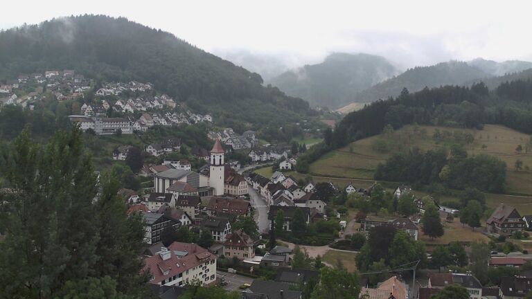 Dieses Bild zeigt eine Webcam-Aufnahme von Ottenhöfen, aufgenommen am Sonntag, den 19.07.2026 um 08:00 Uhr