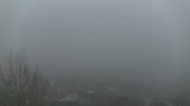 Dieses Bild zeigt eine Webcam-Aufnahme von Ottenhöfen, aufgenommen am Sonntag, den 08.02.2026 um 17:10 Uhr