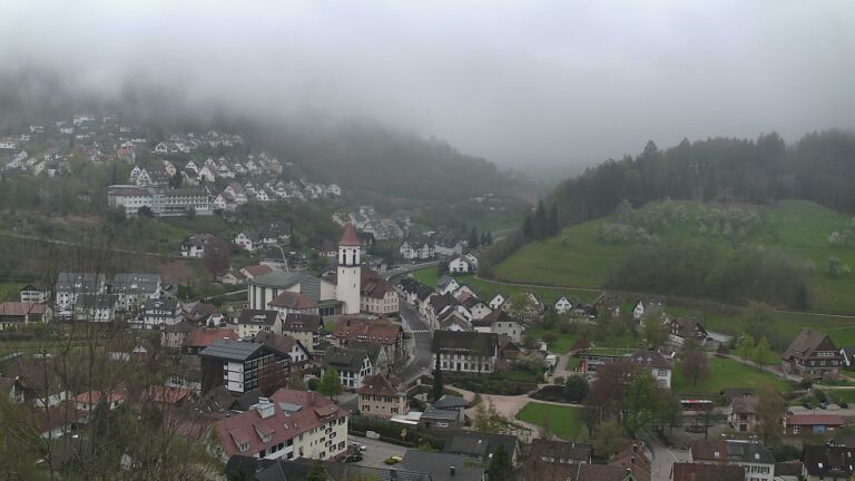 Dieses Bild zeigt eine Webcam-Aufnahme von Ottenhöfen, aufgenommen am Montag, den 13.04.2026 um 13:50 Uhr