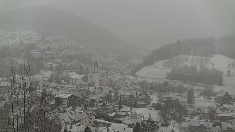 Dieses Bild zeigt eine Webcam-Aufnahme von Ottenhöfen, aufgenommen am Samstag, den 10.01.2026 um 09:50 Uhr