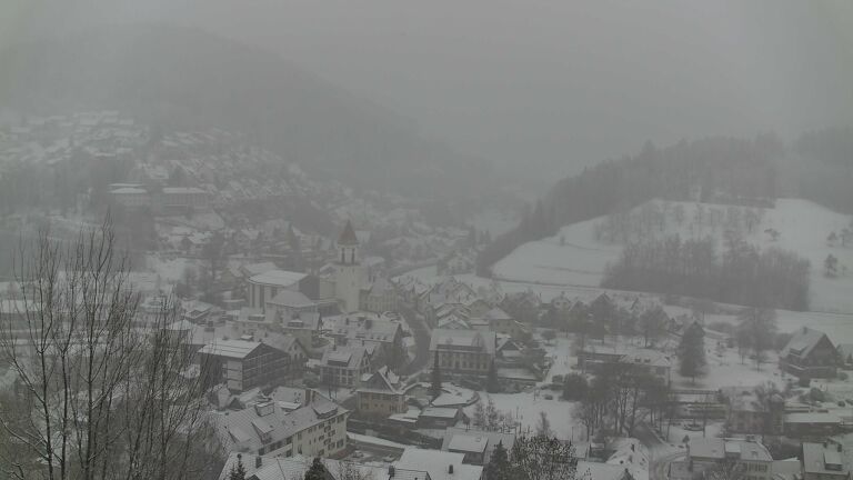 Dieses Bild zeigt eine Webcam-Aufnahme von Ottenhöfen, aufgenommen am Samstag, den 10.01.2026 um 12:00 Uhr