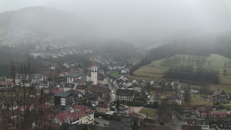 Dieses Bild zeigt eine Webcam-Aufnahme von Ottenhöfen, aufgenommen am Donnerstag, den 29.01.2026 um 08:40 Uhr