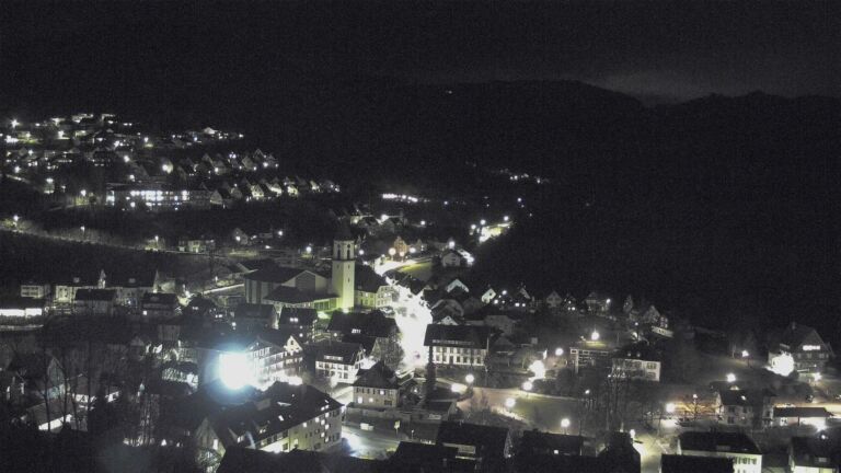 Dieses Bild zeigt eine Webcam-Aufnahme von Ottenhöfen, aufgenommen am Montag, den 16.02.2026 um 20:20 Uhr