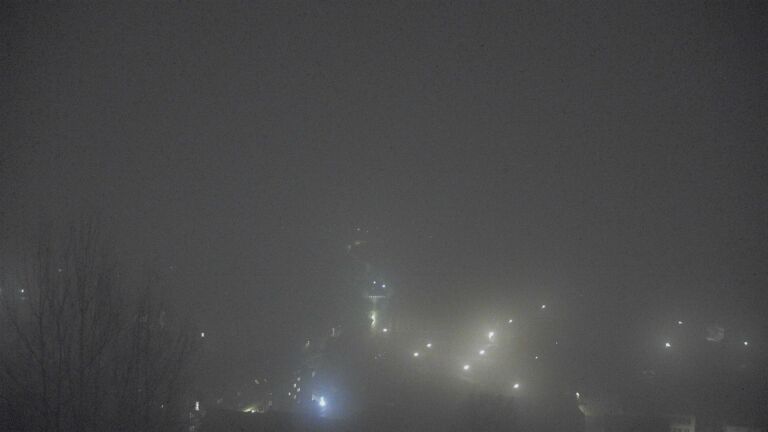 Dieses Bild zeigt eine Webcam-Aufnahme von Ottenhöfen, aufgenommen am Freitag, den 20.02.2026 um 01:00 Uhr