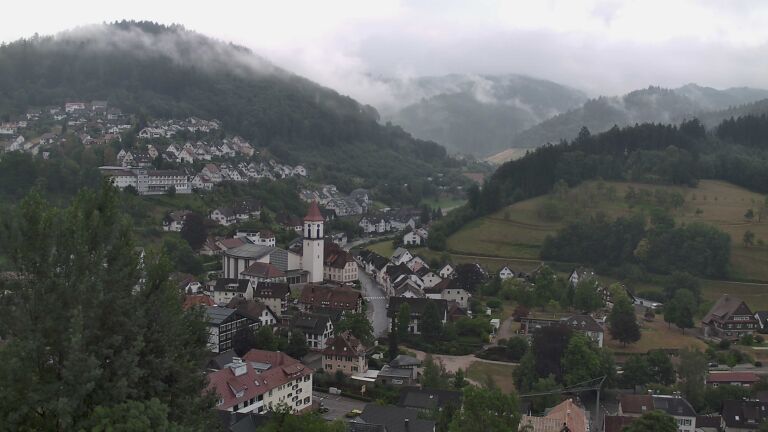 Dieses Bild zeigt eine Webcam-Aufnahme von Ottenhöfen, aufgenommen am Sonntag, den 19.07.2026 um 07:50 Uhr